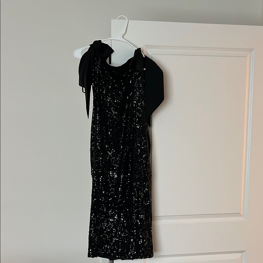 Zara Black Sequin Formal Dress